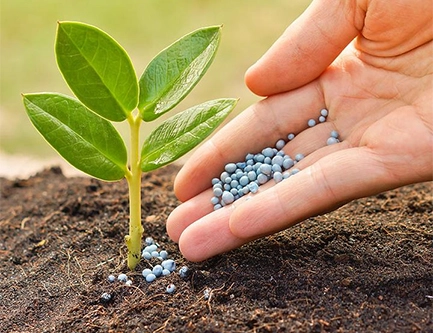 Microfertilizante