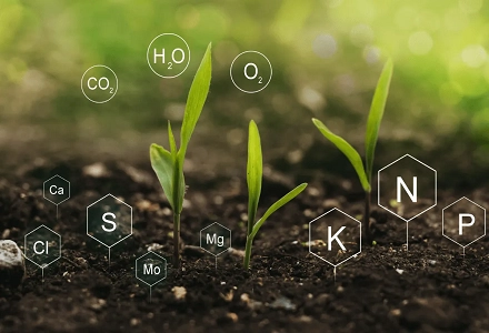 Como os agentes quelantes IDS melhoram os fertilizantes com micronutrientes
