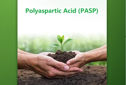 Ácido poliaspártico (PASP): uma solução verde para o rendimento das colheitas e a saúde do solo