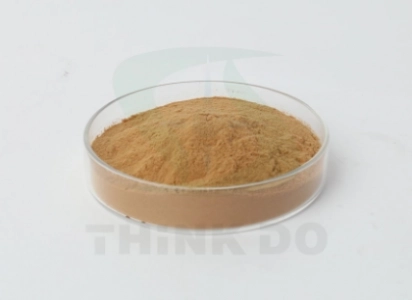Diferentes tipos de retardadores de gesso